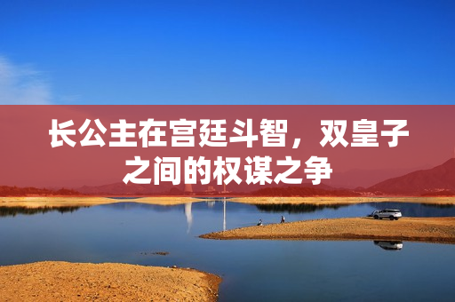长公主在宫廷斗智，双皇子之间的权谋之争