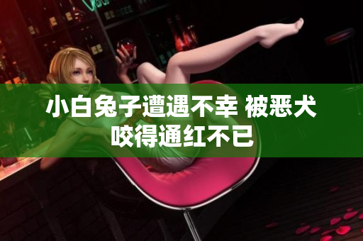 小白兔子遭遇不幸 被恶犬咬得通红不已