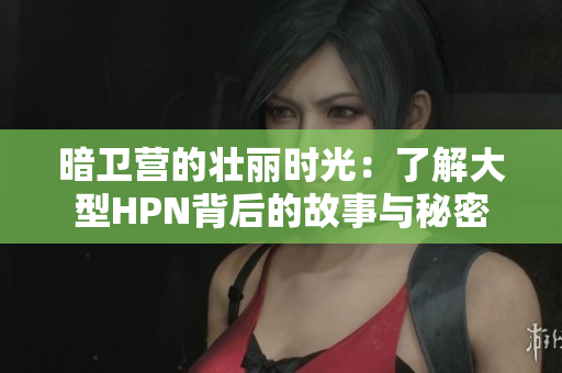 暗卫营的壮丽时光：了解大型HPN背后的故事与秘密