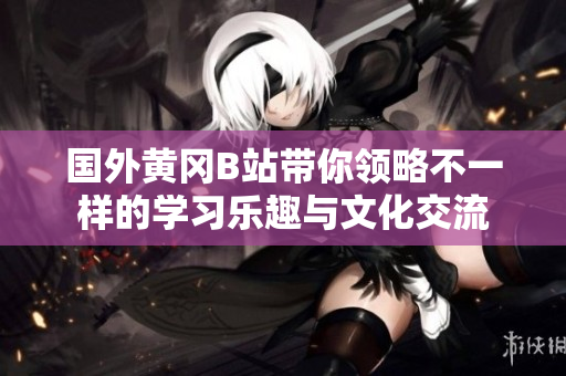 国外黄冈B站带你领略不一样的学习乐趣与文化交流