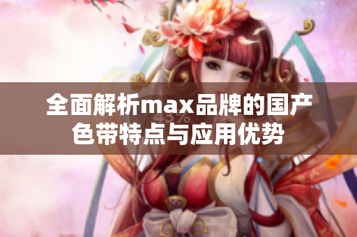 全面解析max品牌的国产色带特点与应用优势