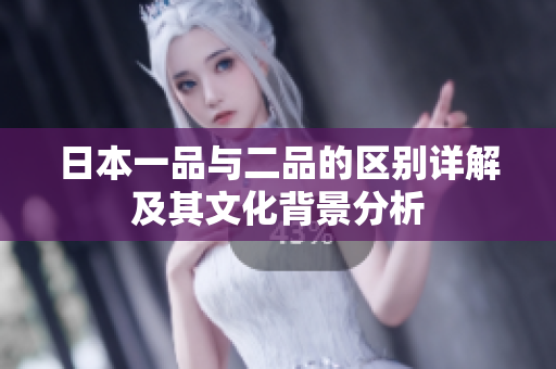 日本一品与二品的区别详解及其文化背景分析