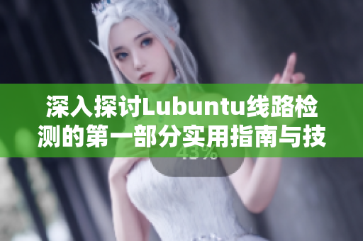 深入探讨Lubuntu线路检测的第一部分实用指南与技巧