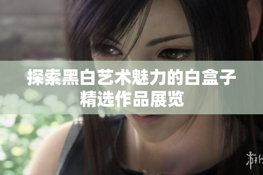 探索黑白艺术魅力的白盒子精选作品展览