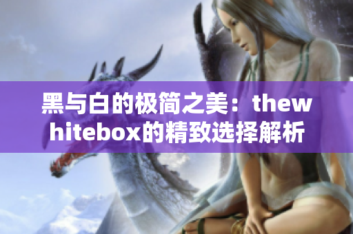 黑与白的极简之美：thewhitebox的精致选择解析