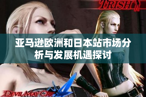 亚马逊欧洲和日本站市场分析与发展机遇探讨
