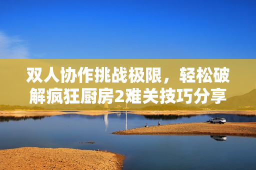 双人协作挑战极限，轻松破解疯狂厨房2难关技巧分享