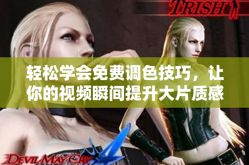 轻松学会免费调色技巧，让你的视频瞬间提升大片质感