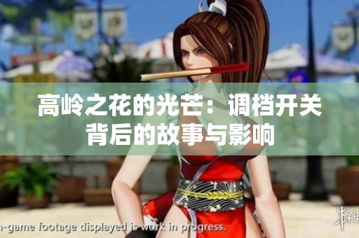 高岭之花的光芒：调档开关背后的故事与影响