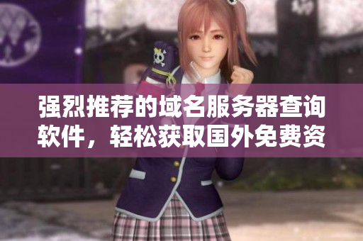 强烈推荐的域名服务器查询软件，轻松获取国外免费资源
