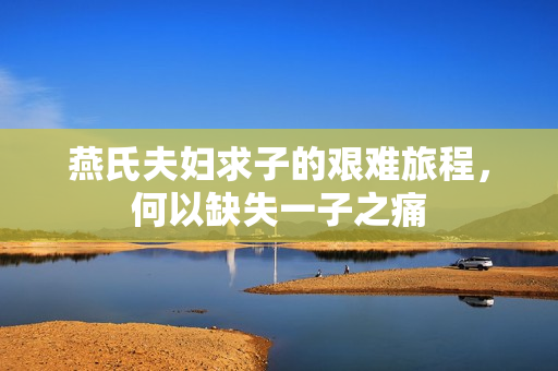 燕氏夫妇求子的艰难旅程，何以缺失一子之痛