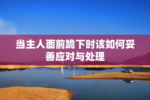 当主人面前跪下时该如何妥善应对与处理