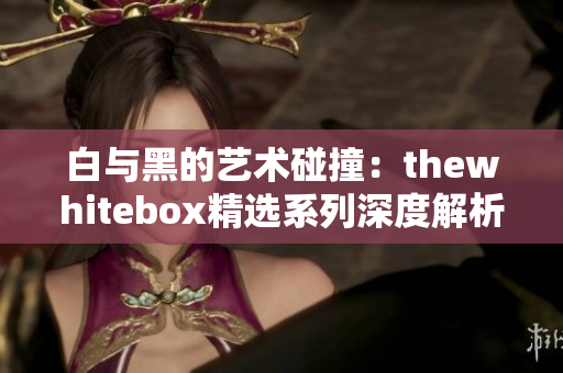 白与黑的艺术碰撞：thewhitebox精选系列深度解析