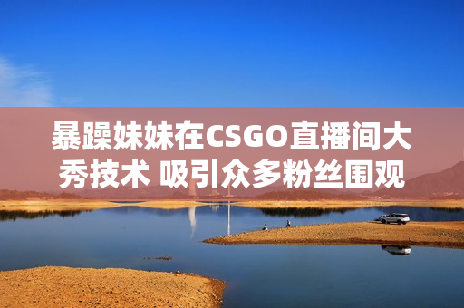 暴躁妹妹在CSGO直播间大秀技术 吸引众多粉丝围观