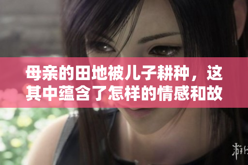 母亲的田地被儿子耕种，这其中蕴含了怎样的情感和故事