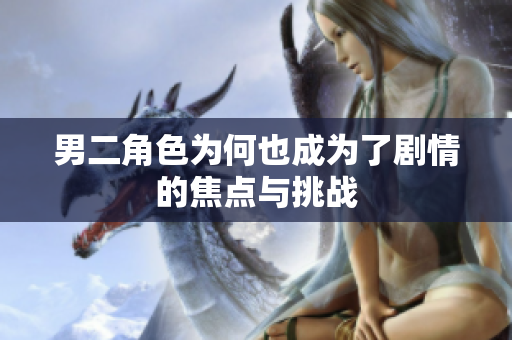 男二角色为何也成为了剧情的焦点与挑战