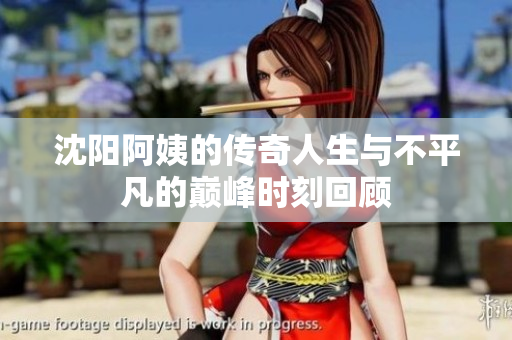 沈阳阿姨的传奇人生与不平凡的巅峰时刻回顾