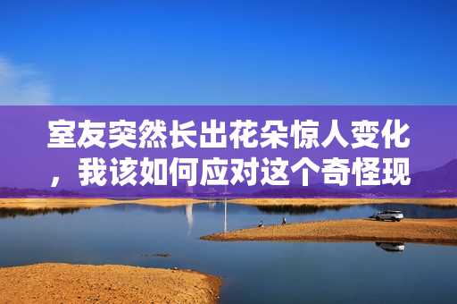 室友突然长出花朵惊人变化，我该如何应对这个奇怪现象