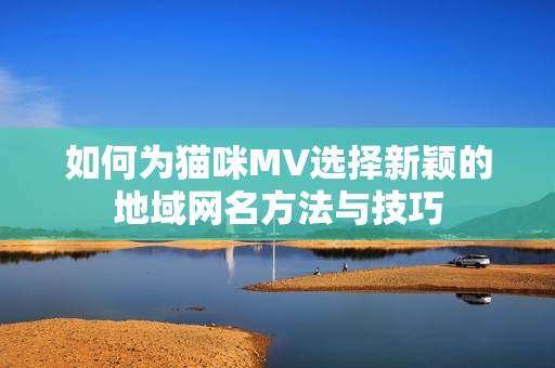 如何为猫咪MV选择新颖的地域网名方法与技巧