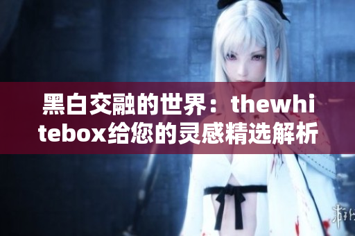 黑白交融的世界：thewhitebox给您的灵感精选解析