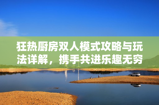 狂热厨房双人模式攻略与玩法详解，携手共进乐趣无穷