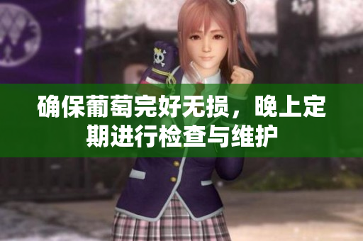确保葡萄完好无损，晚上定期进行检查与维护