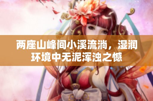 两座山峰间小溪流淌，湿润环境中无泥浑浊之憾