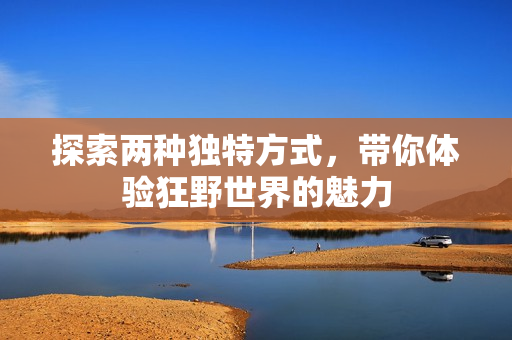探索两种独特方式，带你体验狂野世界的魅力