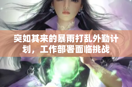 突如其来的暴雨打乱外勤计划，工作部署面临挑战
