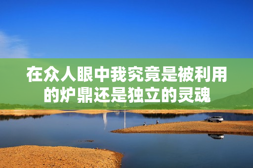 在众人眼中我究竟是被利用的炉鼎还是独立的灵魂