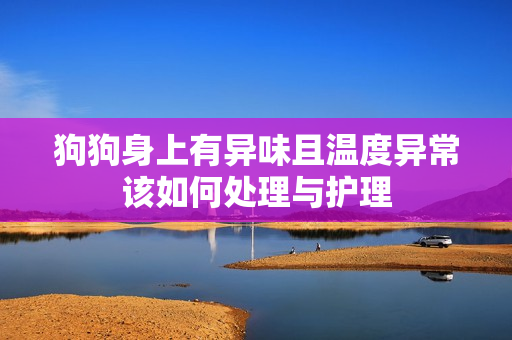 狗狗身上有异味且温度异常该如何处理与护理