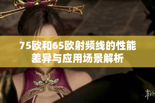 75欧和65欧射频线的性能差异与应用场景解析