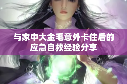 与家中大金毛意外卡住后的应急自救经验分享