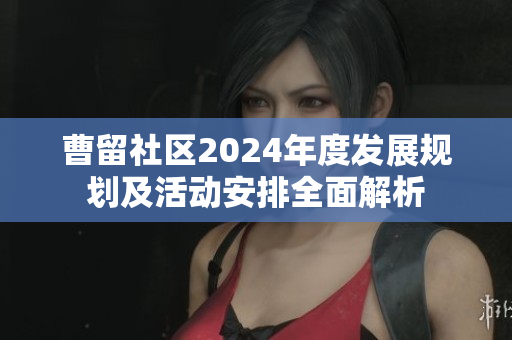 曹留社区2024年度发展规划及活动安排全面解析