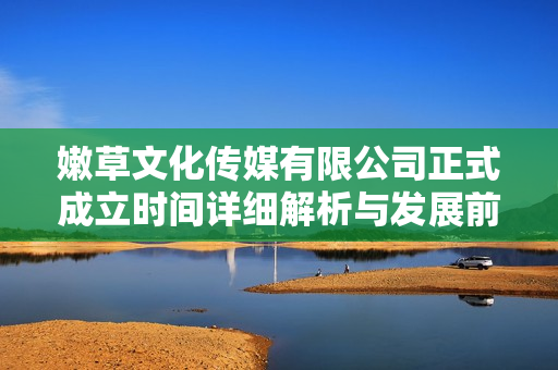 嫩草文化传媒有限公司正式成立时间详细解析与发展前景展望