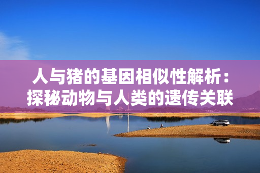 人与猪的基因相似性解析：探秘动物与人类的遗传关联