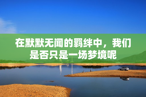 在默默无闻的羁绊中，我们是否只是一场梦境呢