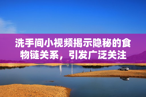 洗手间小视频揭示隐秘的食物链关系，引发广泛关注