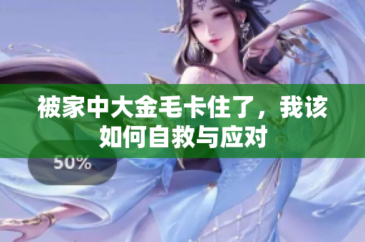 被家中大金毛卡住了，我该如何自救与应对