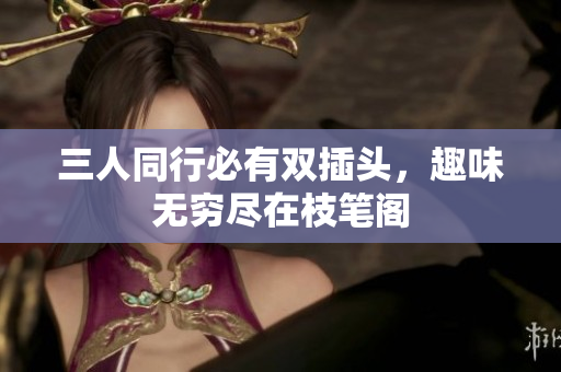 三人同行必有双插头，趣味无穷尽在枝笔阁