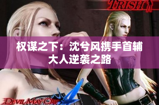 权谋之下：沈兮风携手首辅大人逆袭之路
