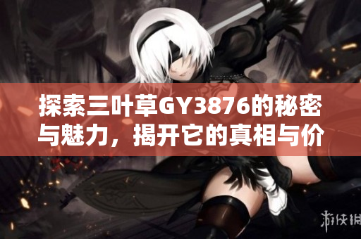 探索三叶草GY3876的秘密与魅力，揭开它的真相与价值