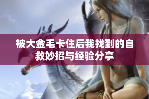 被大金毛卡住后我找到的自救妙招与经验分享