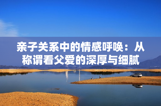 亲子关系中的情感呼唤：从称谓看父爱的深厚与细腻
