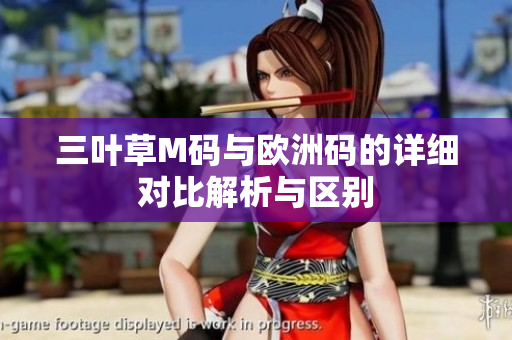 三叶草M码与欧洲码的详细对比解析与区别