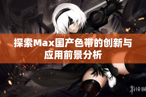 探索Max国产色带的创新与应用前景分析