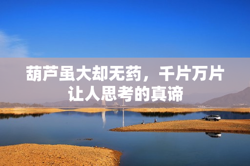 葫芦虽大却无药，千片万片让人思考的真谛