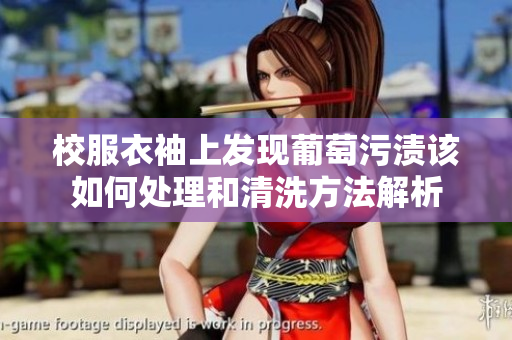 校服衣袖上发现葡萄污渍该如何处理和清洗方法解析
