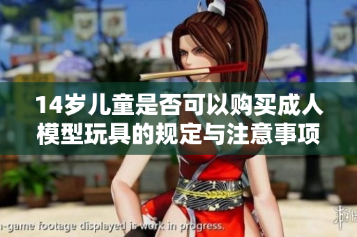 14岁儿童是否可以购买成人模型玩具的规定与注意事项