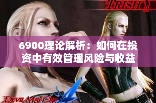 6900理论解析：如何在投资中有效管理风险与收益